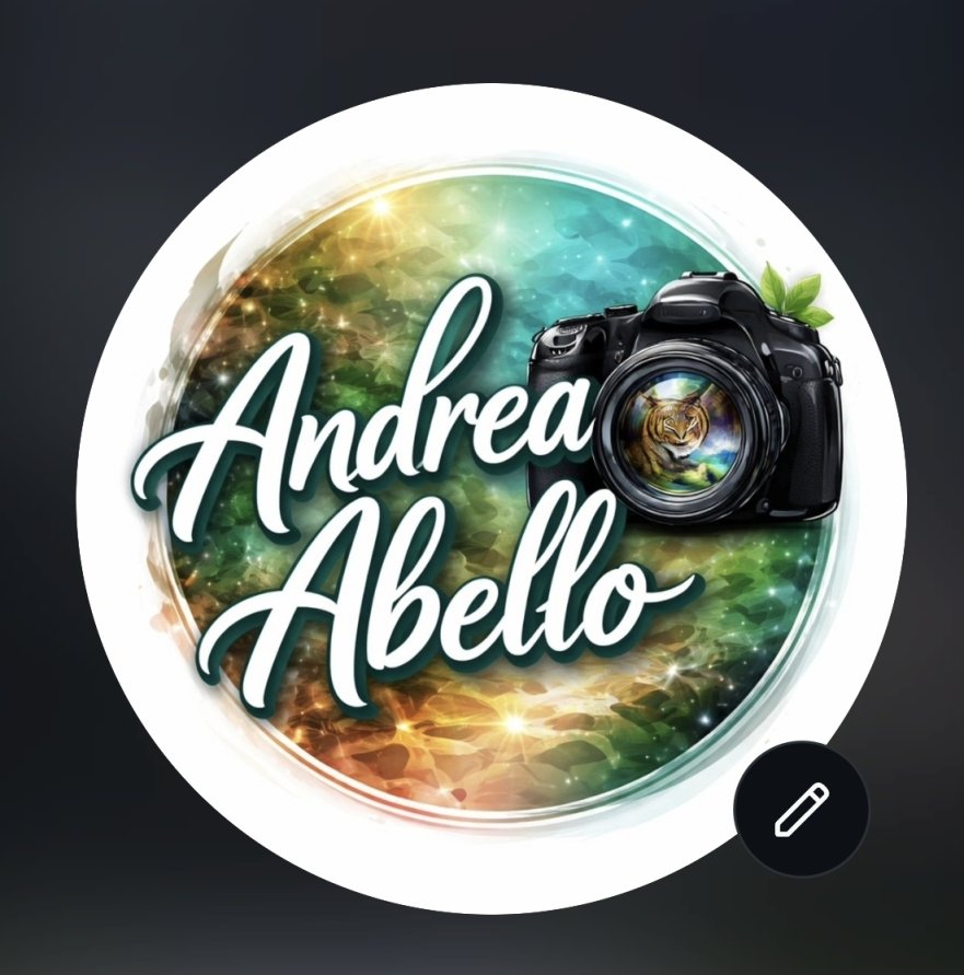 fografia_andrea
