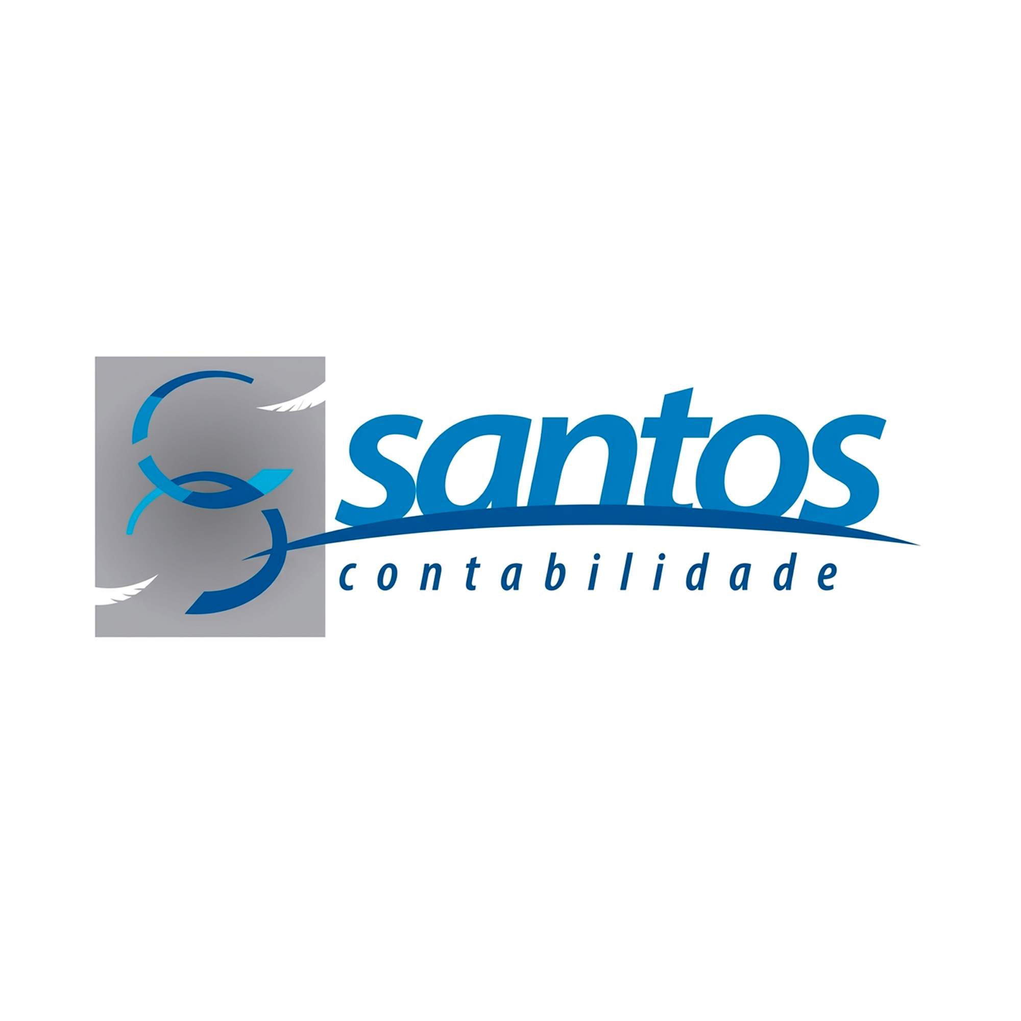 lfs_santos_contabilida